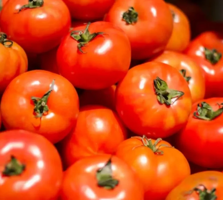 En el gran reparto de vitaminas saludables, el tomate ganó el Óscar en la trama de las ensaladas