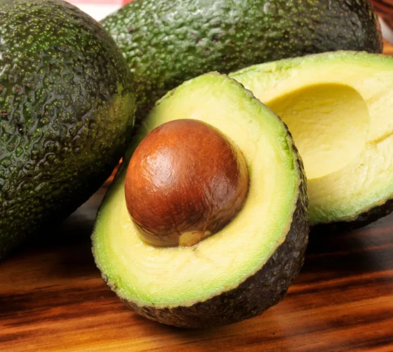 El aguacate ecuatoriano: de tesoro nacional a estrella internacional