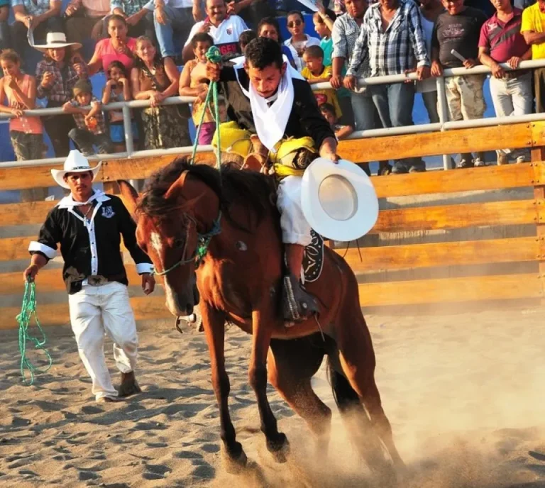 El rodeo montuvio: orgullo y tradición del litoral ecuatoriano